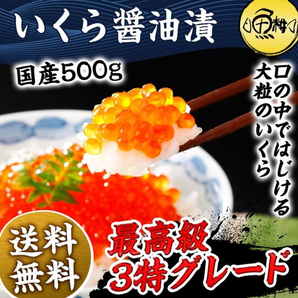 いくら 贈答用 最高級3特グレード 500g 国産 2024年新物 いくら醤油漬け 250g×2 国産の秋鮭から丹念にほぐした宝石のようなイクラ 【イクラ醤油漬け/大粒/鮭卵/ギフト/プレゼント】