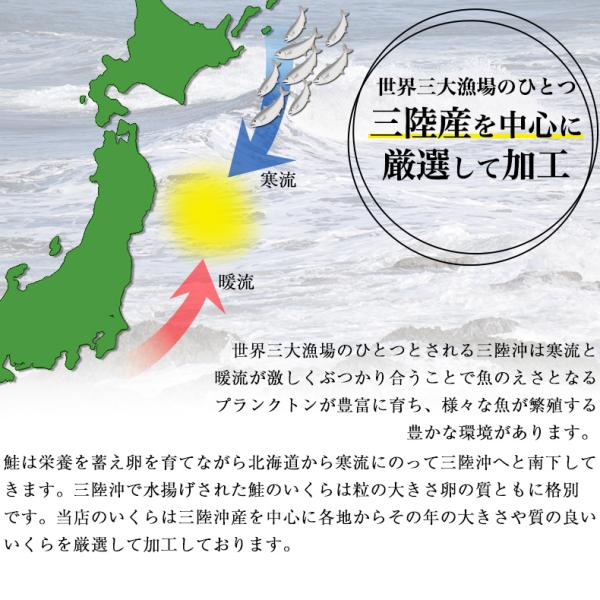 いくら 贈答用 最高級3特グレード 500g 国産 2024年新物 いくら醤油漬け 250g×2 国産の秋鮭から丹念にほぐした宝石のようなイクラ 【イクラ醤油漬け/大粒/鮭卵/ギフト/プレゼント】