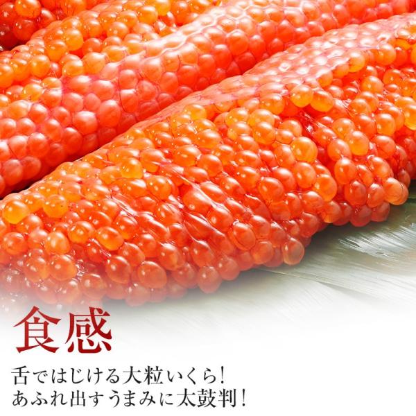 いくら 贈答用 最高級3特グレード 500g 国産 2024年新物 いくら醤油漬け 250g×2 国産の秋鮭から丹念にほぐした宝石のようなイクラ 【イクラ醤油漬け/大粒/鮭卵/ギフト/プレゼント】