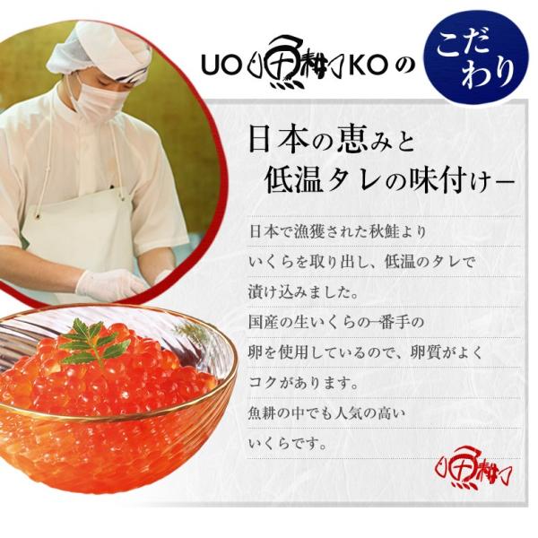 いくら 贈答用 最高級3特グレード 500g 国産 2024年新物 いくら醤油漬け 250g×2 国産の秋鮭から丹念にほぐした宝石のようなイクラ 【イクラ醤油漬け/大粒/鮭卵/ギフト/プレゼント】