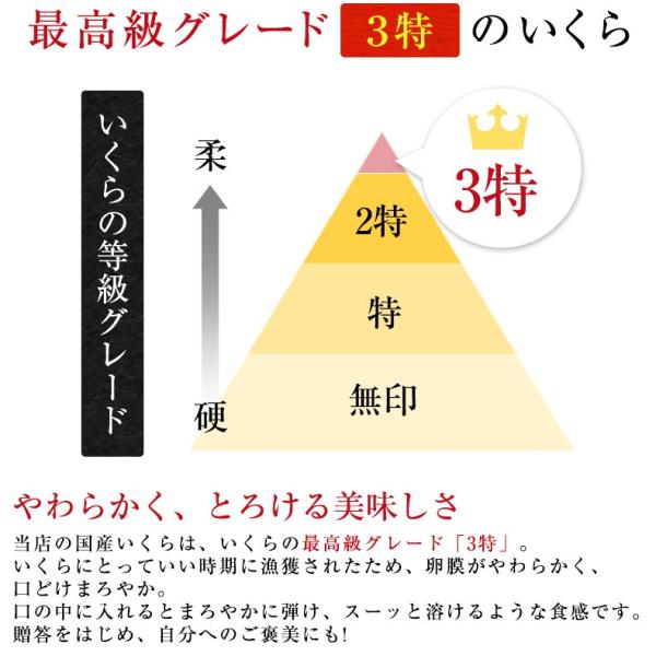 いくら 贈答用 最高級3特グレード 500g 国産 2024年新物 いくら醤油漬け 250g×2 国産の秋鮭から丹念にほぐした宝石のようなイクラ 【イクラ醤油漬け/大粒/鮭卵/ギフト/プレゼント】