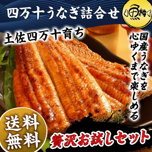 うなぎ 四万十うなぎ 詰め合わせ セット 日本最後の清流、四万十川の恵みで育った自慢の鰻 【蒲焼き/国産/国内産/ギフト/プレゼント/贈答】
