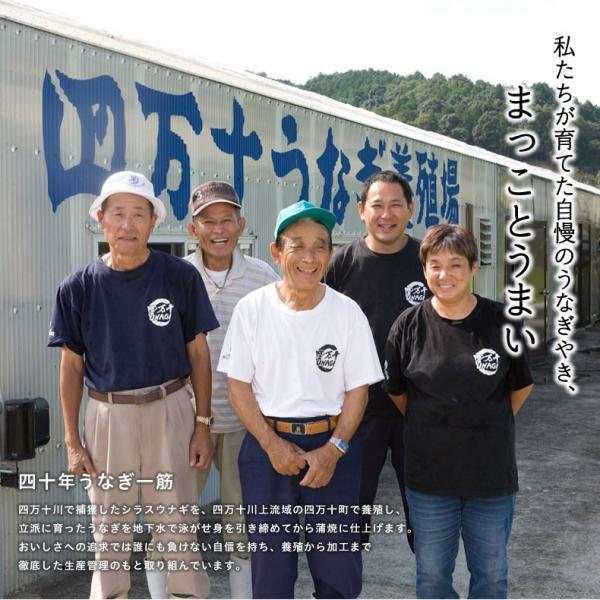 うなぎ 四万十うなぎ 詰め合わせ セット 日本最後の清流、四万十川の恵みで育った自慢の鰻 【蒲焼き/国産/国内産/ギフト/プレゼント/贈答】