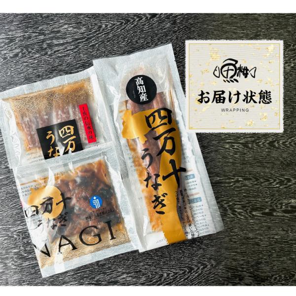 うなぎ 四万十うなぎ 詰め合わせ セット 日本最後の清流、四万十川の恵みで育った自慢の鰻 【蒲焼き/国産/国内産/ギフト/プレゼント/贈答】