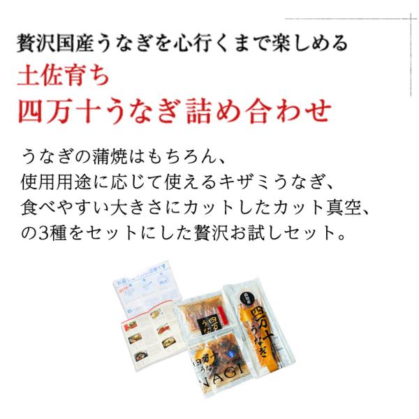 うなぎ 四万十うなぎ 詰め合わせ セット 日本最後の清流、四万十川の恵みで育った自慢の鰻 【蒲焼き/国産/国内産/ギフト/プレゼント/贈答】
