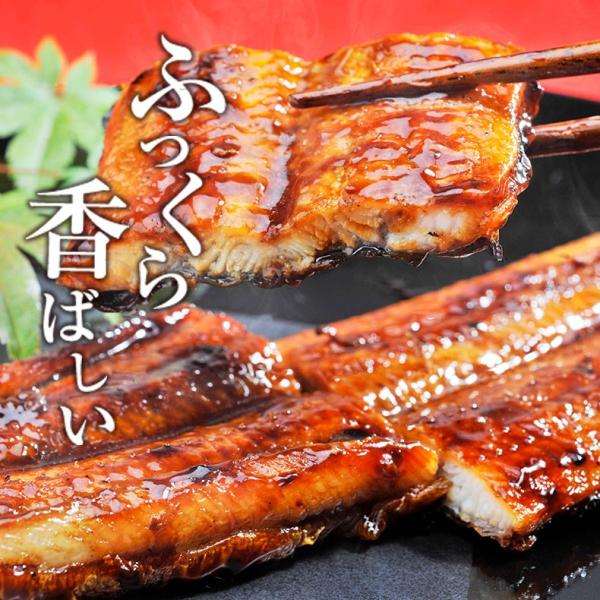 うなぎ 四万十うなぎ 詰め合わせ セット 日本最後の清流、四万十川の恵みで育った自慢の鰻 【蒲焼き/国産/国内産/ギフト/プレゼント/贈答】