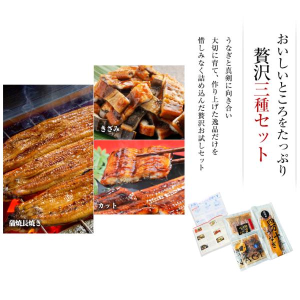 うなぎ 四万十うなぎ 詰め合わせ セット 日本最後の清流、四万十川の恵みで育った自慢の鰻 【蒲焼き/国産/国内産/ギフト/プレゼント/贈答】