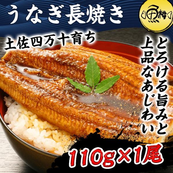 うなぎ 四万十うなぎ 蒲焼 長焼き 110g 日本最後の清流、四万十川の恵みで育った自慢のウナギ 【鰻/蒲焼き/国産/国内産】【ギフト/贈答/プレゼント】
