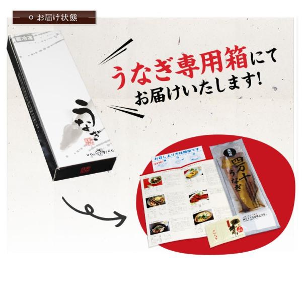 うなぎ 四万十うなぎ 蒲焼 長焼き 110g 日本最後の清流、四万十川の恵みで育った自慢のウナギ 【鰻/蒲焼き/国産/国内産】【ギフト/贈答/プレゼント】