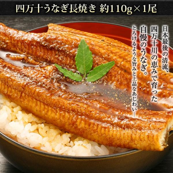 うなぎ 四万十うなぎ 蒲焼 長焼き 110g 日本最後の清流、四万十川の恵みで育った自慢のウナギ 【鰻/蒲焼き/国産/国内産】【ギフト/贈答/プレゼント】