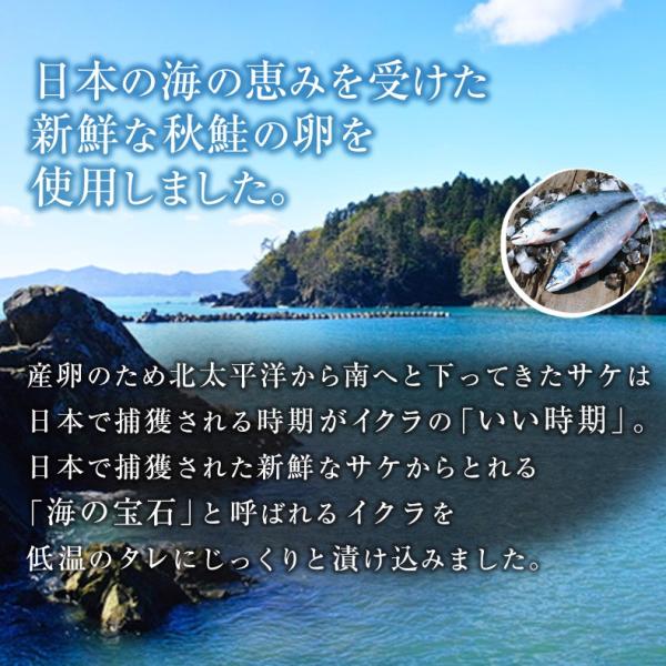 国産 いくら 醤油漬け 1kg 最高級3特グレード 2024年新物 250g×4 国産の秋鮭から丹念にほぐした宝石のようなイクラ 【ギフト/プレゼント/贈答/高級/イクラ/大粒/鮭卵/小分け/海鮮】
