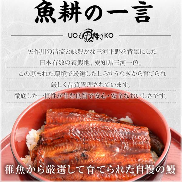 うなぎ 鰻 白焼き 愛知三河一色産 兼光 約160g×1尾 【ウナギ/国産/国内産/ギフト/贈答/プレゼント】