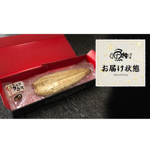 うなぎ 鰻 白焼き 愛知三河一色産 兼光 約160g×1尾 【ウナギ/国産/国内産/ギフト/贈答/プレゼント】
