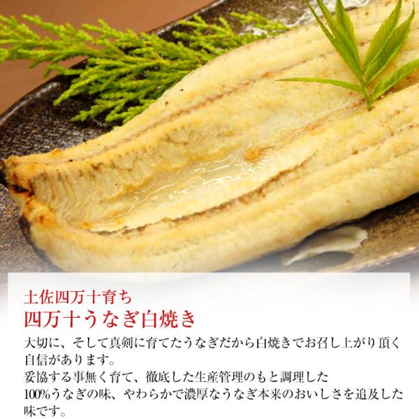 うなぎ 四万十うなぎ 白焼き 約120g 日本最後の清流、四万十川の恵みで育った自慢の鰻 【ウナギ/鰻/国産/国内産/素焼き/ギフト/贈答/プレゼント】
