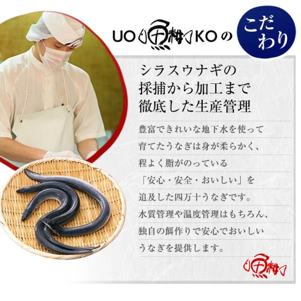 うなぎ 四万十うなぎ 白焼き 約120g 日本最後の清流、四万十川の恵みで育った自慢の鰻 【ウナギ/鰻/国産/国内産/素焼き/ギフト/贈答/プレゼント】