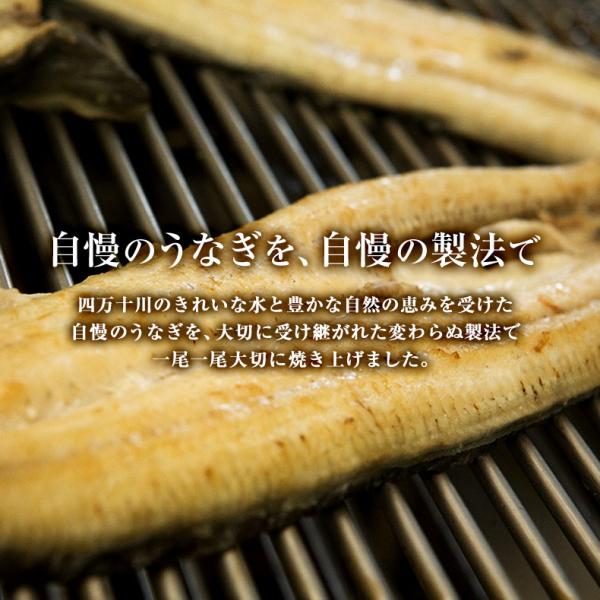 うなぎ 四万十うなぎ 白焼き 約120g 日本最後の清流、四万十川の恵みで育った自慢の鰻 【ウナギ/鰻/国産/国内産/素焼き/ギフト/贈答/プレゼント】