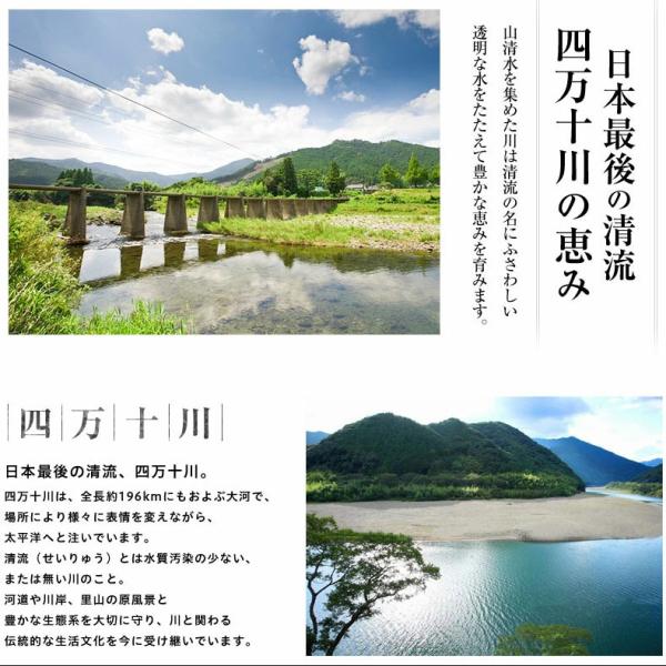 うなぎ 四万十うなぎ 白焼き 約120g 日本最後の清流、四万十川の恵みで育った自慢の鰻 【ウナギ/鰻/国産/国内産/素焼き/ギフト/贈答/プレゼント】