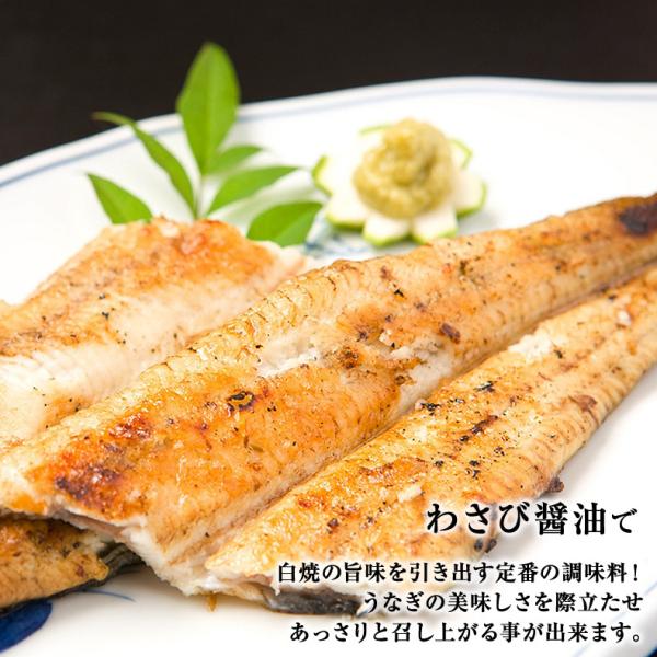 うなぎ 四万十うなぎ 白焼き 約120g 日本最後の清流、四万十川の恵みで育った自慢の鰻 【ウナギ/鰻/国産/国内産/素焼き/ギフト/贈答/プレゼント】