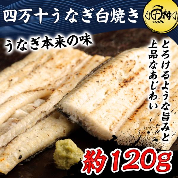うなぎ 四万十うなぎ 白焼き 約120g 日本最後の清流、四万十川の恵みで育った自慢の鰻 【ウナギ/鰻/国産/国内産/素焼き/ギフト/贈答/プレゼント】