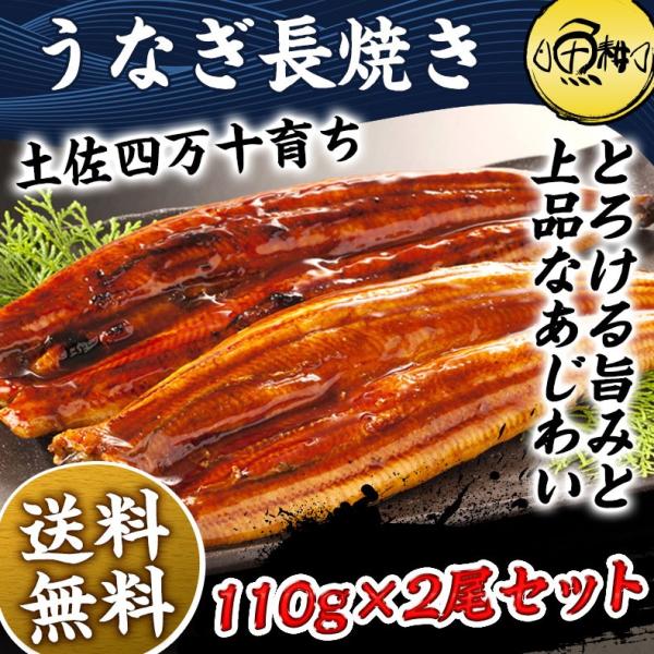 うなぎ ギフト 蒲焼き 国産 四万十うなぎ 長焼き 110g×2尾セット 日本最後の清流、四万十川の恵みで育った自慢のウナギ 【鰻/ウナギ/国内産/贈答/プレゼント】