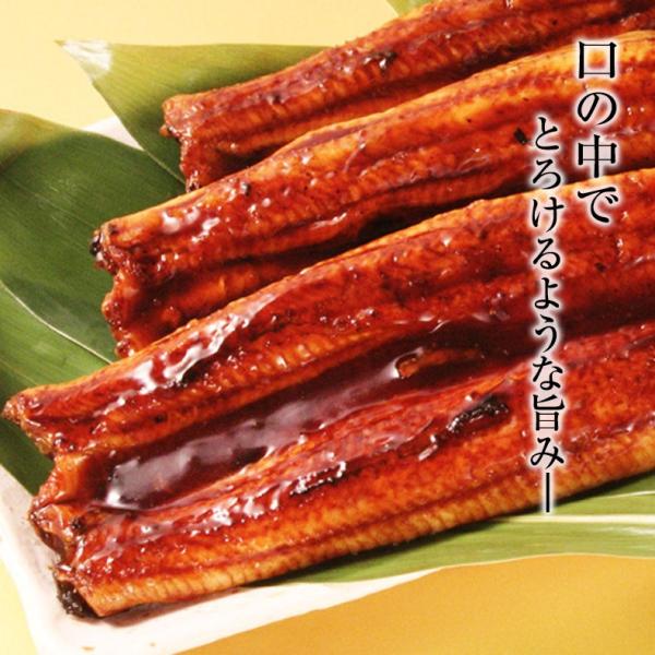 うなぎ ギフト 蒲焼き 国産 四万十うなぎ 長焼き 110g×2尾セット 日本最後の清流、四万十川の恵みで育った自慢のウナギ 【鰻/ウナギ/国内産/贈答/プレゼント】