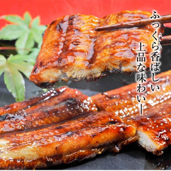 うなぎ ギフト 蒲焼き 国産 四万十うなぎ 長焼き 110g×2尾セット 日本最後の清流、四万十川の恵みで育った自慢のウナギ 【鰻/ウナギ/国内産/贈答/プレゼント】