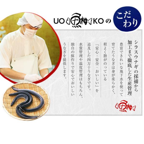うなぎ ギフト 蒲焼き 国産 四万十うなぎ 長焼き 110g×2尾セット 日本最後の清流、四万十川の恵みで育った自慢のウナギ 【鰻/ウナギ/国内産/贈答/プレゼント】