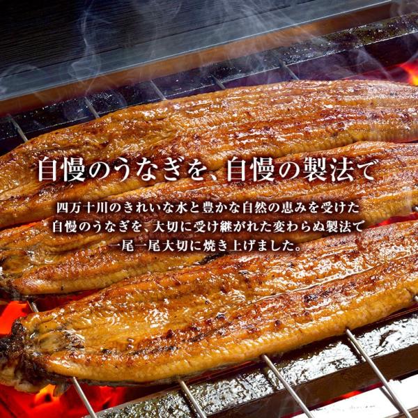 うなぎ ギフト 蒲焼き 国産 四万十うなぎ 長焼き 110g×2尾セット 日本最後の清流、四万十川の恵みで育った自慢のウナギ 【鰻/ウナギ/国内産/贈答/プレゼント】