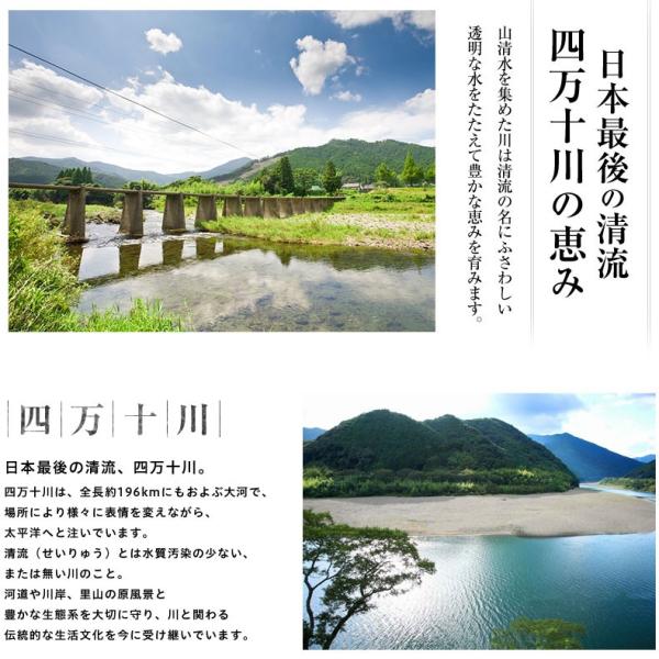 うなぎ ギフト 蒲焼き 国産 四万十うなぎ 長焼き 110g×2尾セット 日本最後の清流、四万十川の恵みで育った自慢のウナギ 【鰻/ウナギ/国内産/贈答/プレゼント】