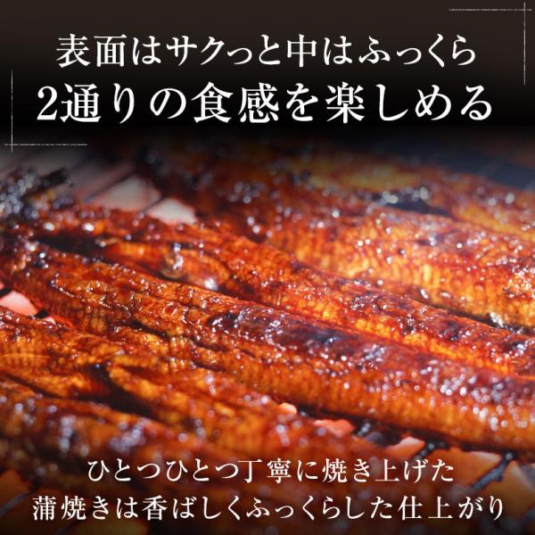 うなぎ ギフト 愛知三河一色産 特大ウナギ蒲焼長焼き 約140g×2尾セット 【兼光/鰻/ウナギ/蒲焼き/国産/国内産/贈答/プレゼント】