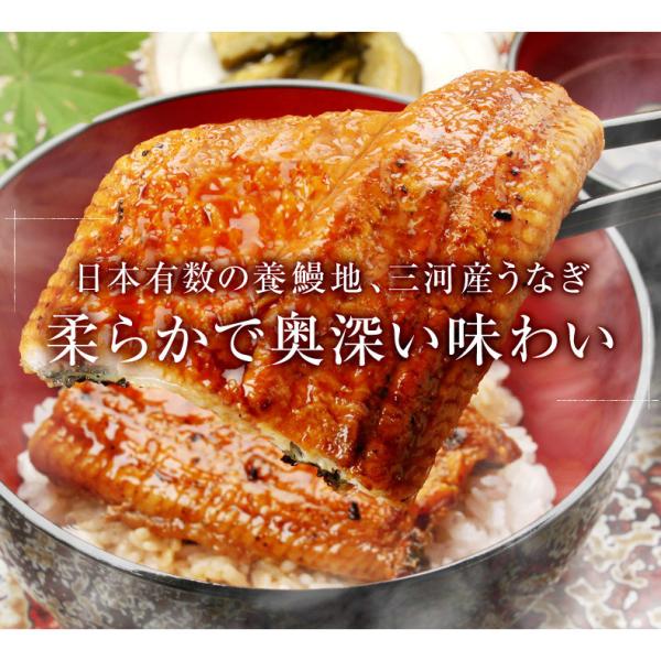 うなぎ ギフト 愛知三河一色産 特大ウナギ蒲焼長焼き 約140g×2尾セット 【兼光/鰻/ウナギ/蒲焼き/国産/国内産/贈答/プレゼント】