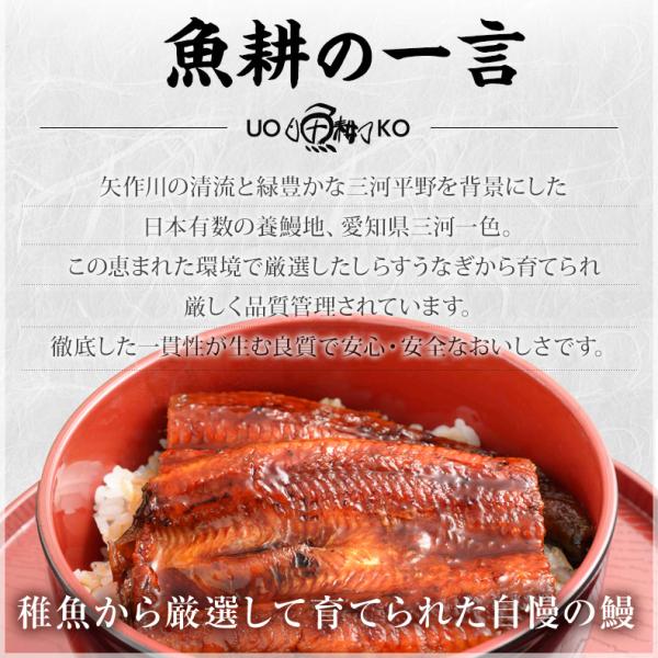 うなぎ ギフト 愛知三河一色産 特大ウナギ蒲焼長焼き 約140g×2尾セット 【兼光/鰻/ウナギ/蒲焼き/国産/国内産/贈答/プレゼント】