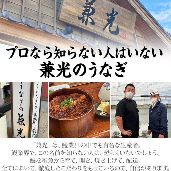 うなぎ ギフト 愛知三河一色産 特大ウナギ蒲焼長焼き 約140g×2尾セット 【兼光/鰻/ウナギ/蒲焼き/国産/国内産/贈答/プレゼント】