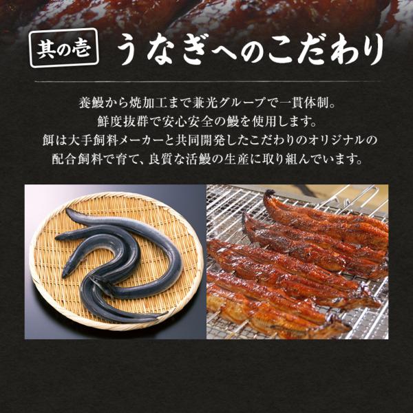 うなぎ ギフト 愛知三河一色産 特大ウナギ蒲焼長焼き 約140g×2尾セット 【兼光/鰻/ウナギ/蒲焼き/国産/国内産/贈答/プレゼント】