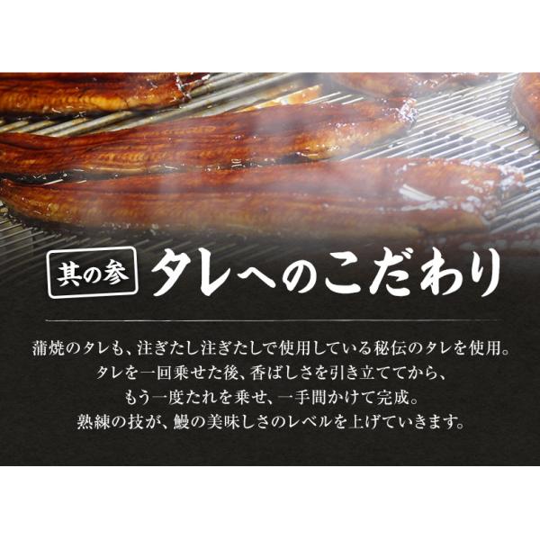 うなぎ ギフト 愛知三河一色産 特大ウナギ蒲焼長焼き 約140g×2尾セット 【兼光/鰻/ウナギ/蒲焼き/国産/国内産/贈答/プレゼント】