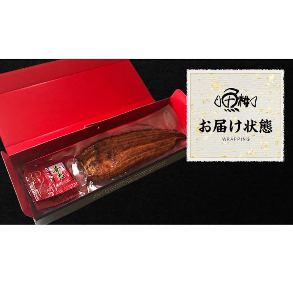 うなぎ ギフト 愛知三河一色産 特大ウナギ蒲焼長焼き 約140g×2尾セット 【兼光/鰻/ウナギ/蒲焼き/国産/国内産/贈答/プレゼント】