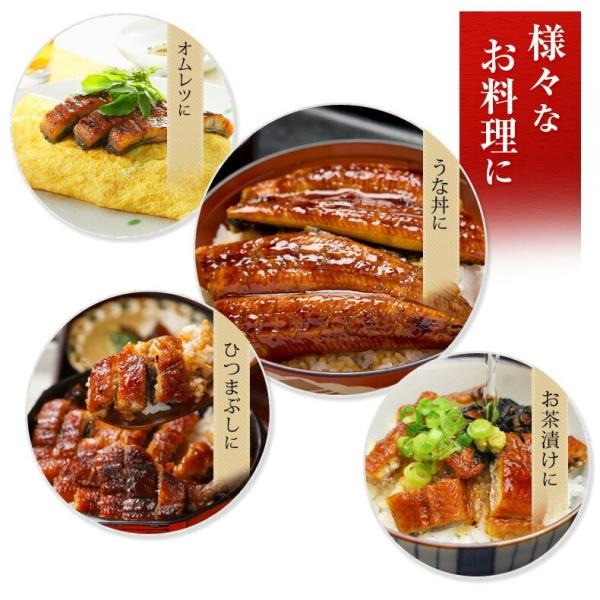 うなぎ ギフト 愛知三河一色産 特大ウナギ蒲焼長焼き 約140g×2尾セット 【兼光/鰻/ウナギ/蒲焼き/国産/国内産/贈答/プレゼント】