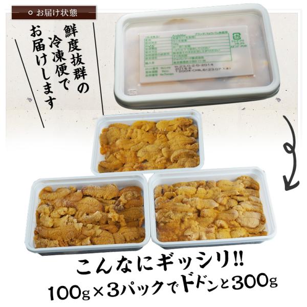 ウニ 天然 生うに 300g 約4~6人前 ミョウバン不使用 無添加 うに 味見の良いチリ産高品質Aグレード 【雲丹/海胆/海栗/お取り寄せ/グルメ/ギフト/贈答】