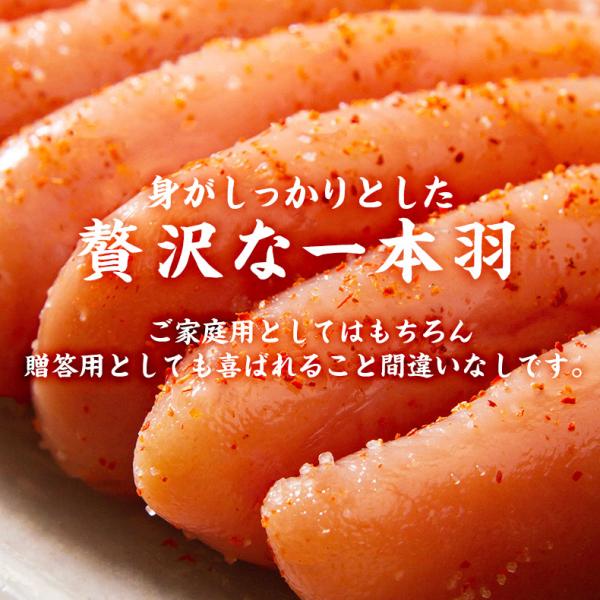 無着色 辛子明太子 一本羽 1kg 選べるサイズ M 2L 化粧箱入 プチッと弾ける食感がたまらない、贅沢な一本物 【明太子/めんたいこ/からし明太子/たらこ/ギフト/プレゼント/贈答/海鮮/高級】