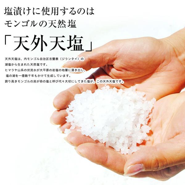 無着色 辛子明太子 一本羽 1kg 選べるサイズ M 2L 化粧箱入 プチッと弾ける食感がたまらない、贅沢な一本物 【明太子/めんたいこ/からし明太子/たらこ/ギフト/プレゼント/贈答/海鮮/高級】