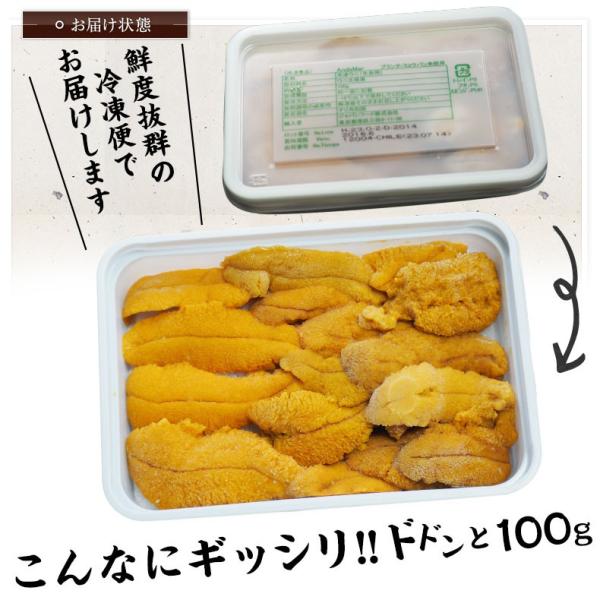 ウニ 天然生うに 100g 約2人前 ミョウバン不使用 無添加 うに 味見の良いチリ産高品質Aグレード 【雲丹/海胆/海栗/お取り寄せ/グルメ/ギフト/贈答】
