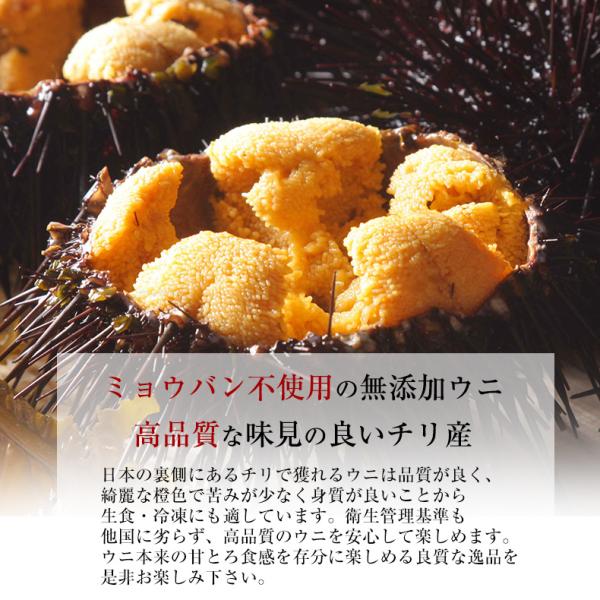 ウニ 天然生うに 100g 約2人前 ミョウバン不使用 無添加 うに 味見の良いチリ産高品質Aグレード 【雲丹/海胆/海栗/お取り寄せ/グルメ/ギフト/贈答】