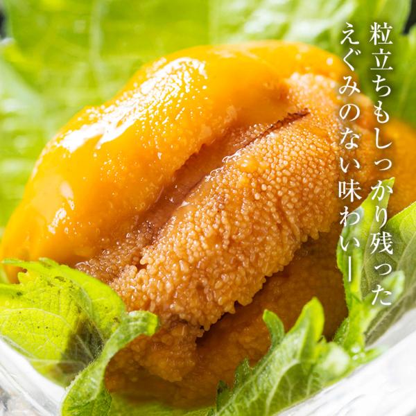 ウニ 天然生うに 100g 約2人前 ミョウバン不使用 無添加 うに 味見の良いチリ産高品質Aグレード 【雲丹/海胆/海栗/お取り寄せ/グルメ/ギフト/贈答】