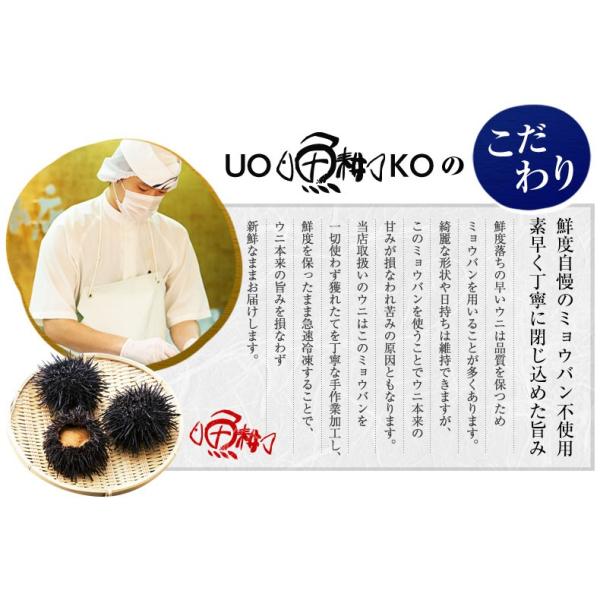 ウニ 天然生うに 100g 約2人前 ミョウバン不使用 無添加 うに 味見の良いチリ産高品質Aグレード 【雲丹/海胆/海栗/お取り寄せ/グルメ/ギフト/贈答】