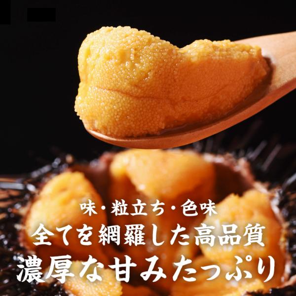 ウニ 天然生うに 100g 約2人前 ミョウバン不使用 無添加 うに 味見の良いチリ産高品質Aグレード 【雲丹/海胆/海栗/お取り寄せ/グルメ/ギフト/贈答】