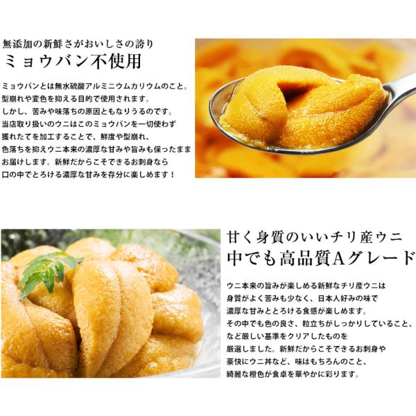 ウニ 天然生うに 100g 約2人前 ミョウバン不使用 無添加 うに 味見の良いチリ産高品質Aグレード 【雲丹/海胆/海栗/お取り寄せ/グルメ/ギフト/贈答】