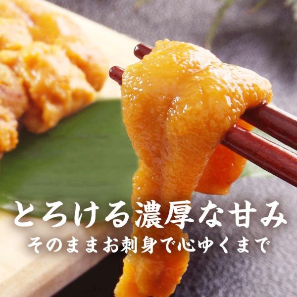 ウニ 天然生うに 100g 約2人前 ミョウバン不使用 無添加 うに 味見の良いチリ産高品質Aグレード 【雲丹/海胆/海栗/お取り寄せ/グルメ/ギフト/贈答】