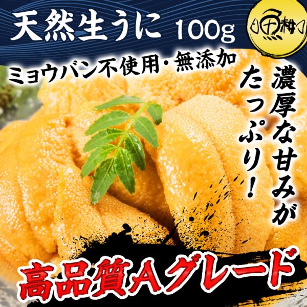 ウニ 天然生うに 100g 約2人前 ミョウバン不使用 無添加 うに 味見の良いチリ産高品質Aグレード 【雲丹/海胆/海栗/お取り寄せ/グルメ/ギフト/贈答】
