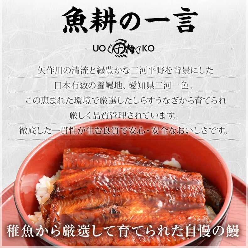 うなぎ ギフト 国産 愛知県三河一色産 兼光 うなぎ蒲焼長焼き 約140g×5尾セット 【鰻/蒲焼き/国内産/贈答/プレゼント】