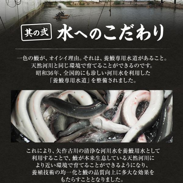 うなぎ ギフト 国産 愛知県三河一色産 兼光 うなぎ蒲焼長焼き 約140g×5尾セット 【鰻/蒲焼き/国内産/贈答/プレゼント】